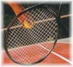 raquette_tennis.jpg